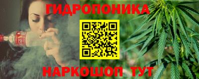шишки Балахна