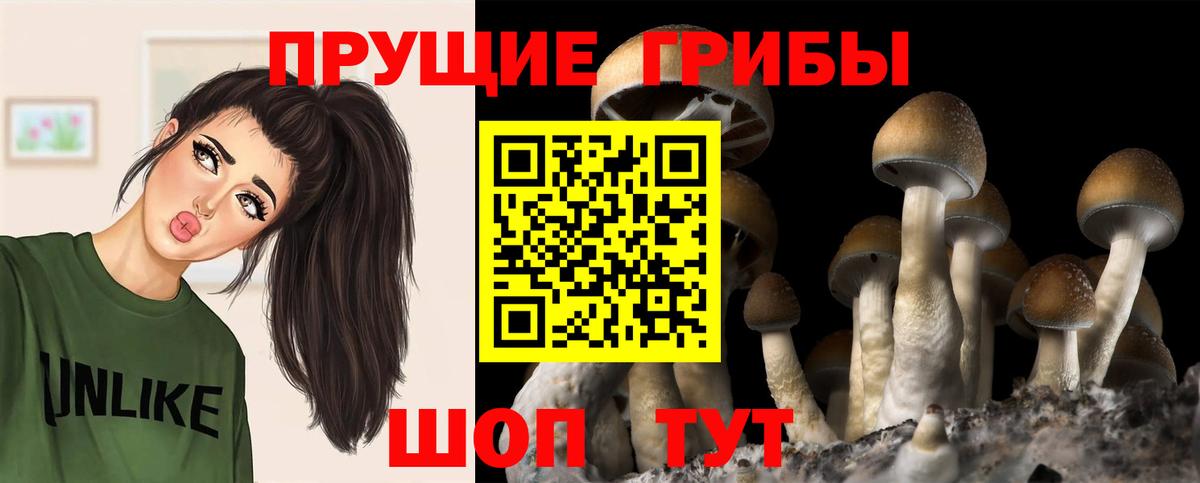 Галлюциногенные грибы мухоморы  Галлюциногенные грибы ЛСД  Волгодонск  Вход с VPN 